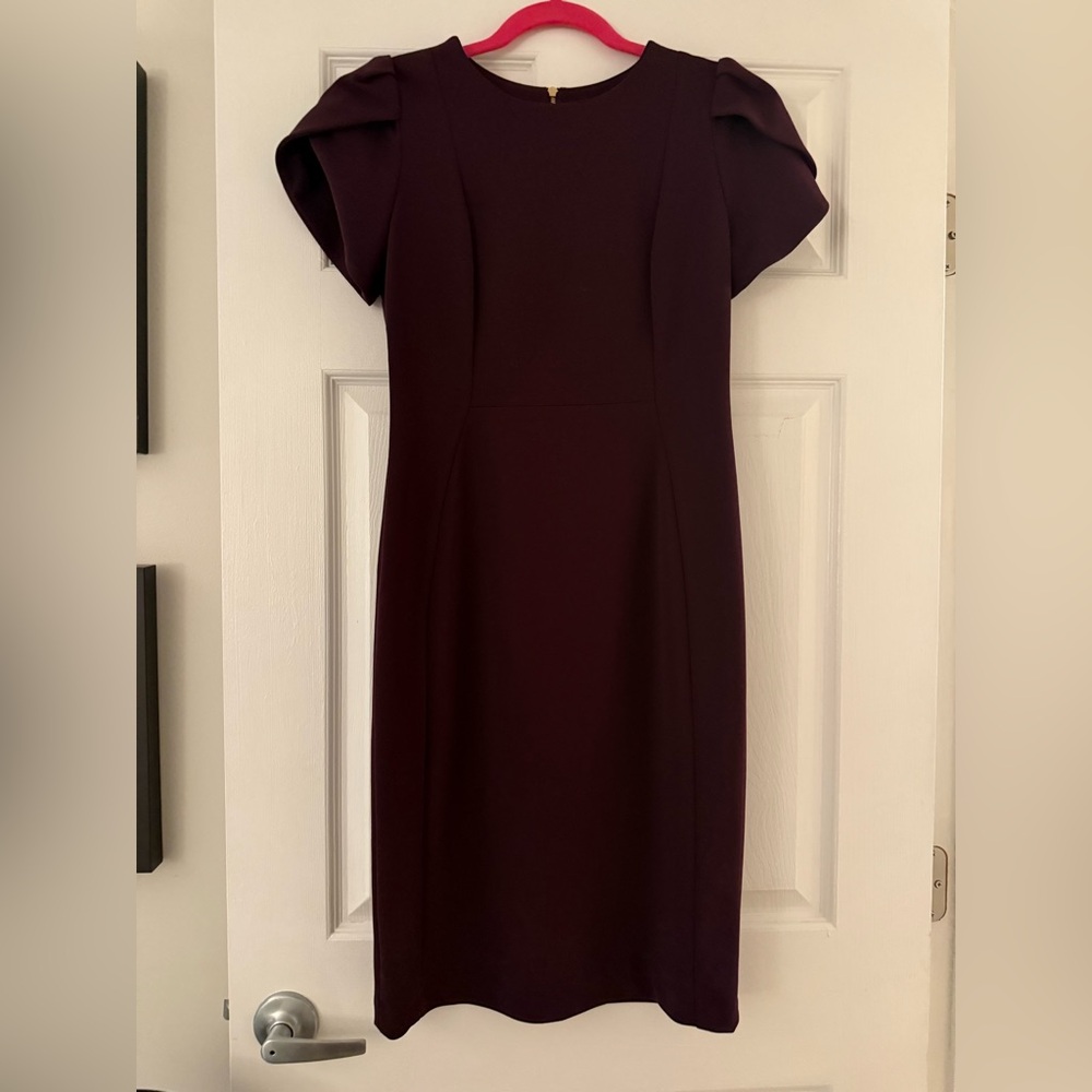 Burgundy Calvin Klein Capped Sleeve Dress - Picture 3 of 7